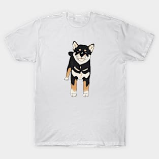 Shiba Inu Puppy T-Shirt